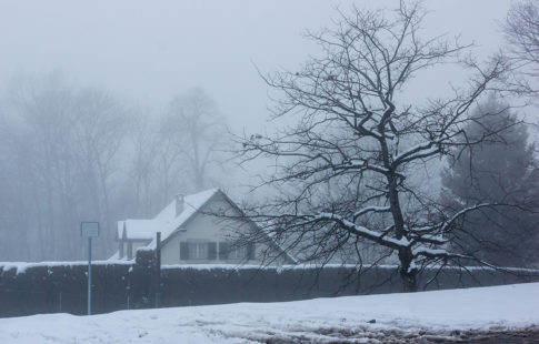 The Homeowner's Guide to Dealing With Winter Storm Damage