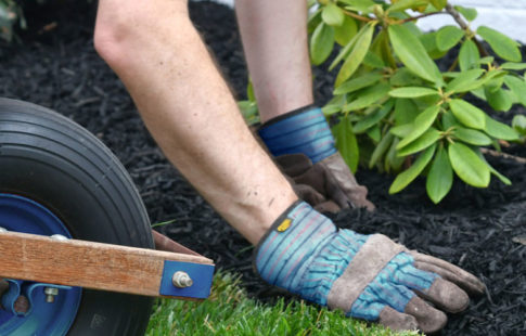 5 Landscaping Projects To Boost Your Home's Value