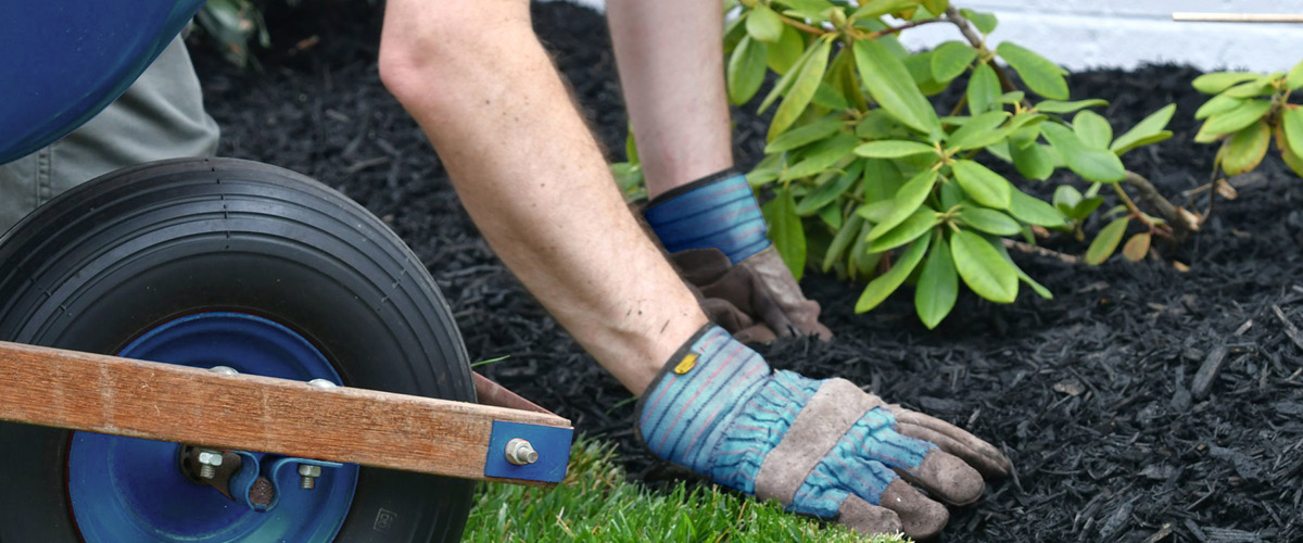 5 Landscaping Projects To Boost Your Home's Value