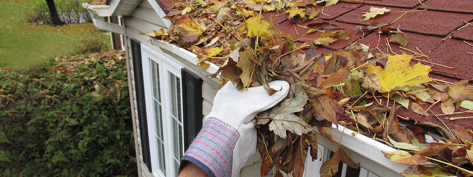 A homeowner cleans a gutter full of leaves