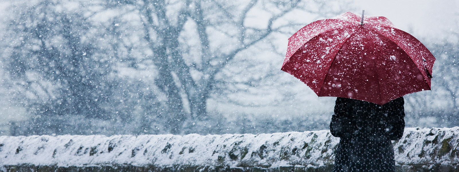 Woman walking with an umbrella in a snowstorm