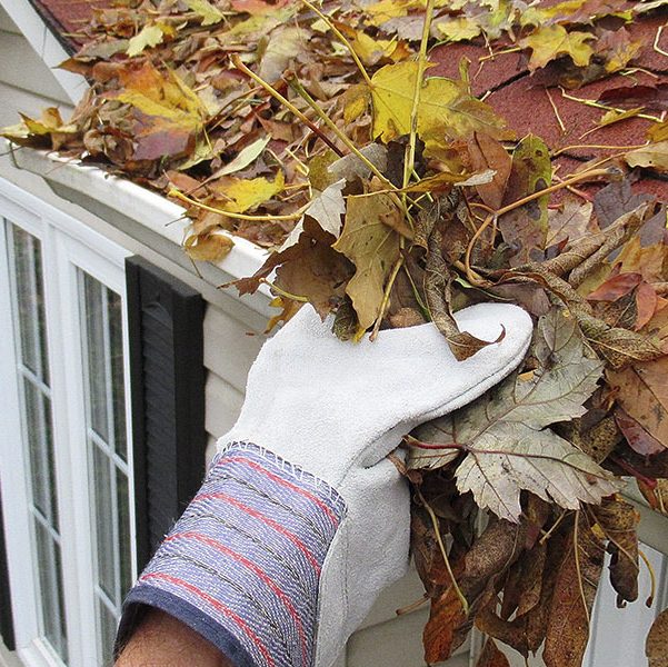 A homeowner cleans a gutter full of leaves