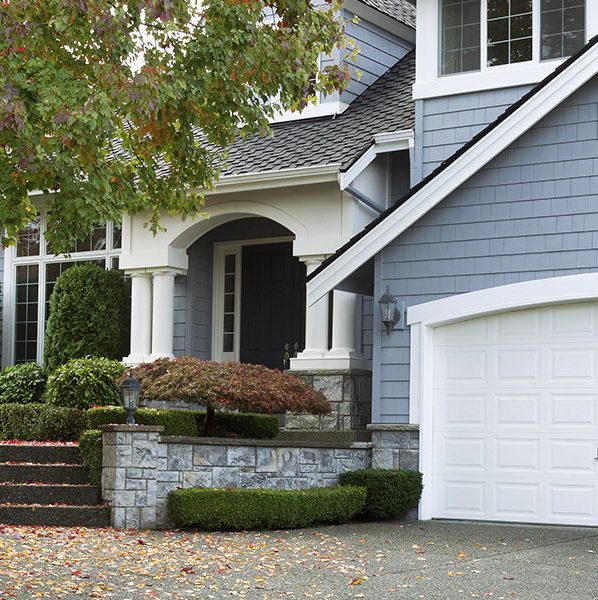 Front yard of blue two-story house next to a maple tree