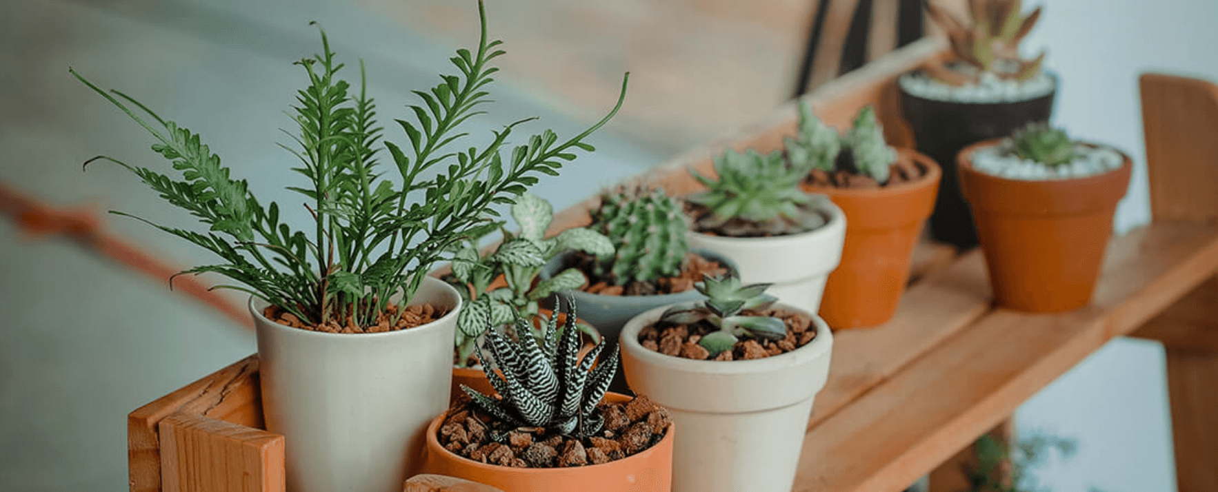 5 Outdoor Storage Ideas You Can Use 5 Outdoor Storage Ideas You Can Use